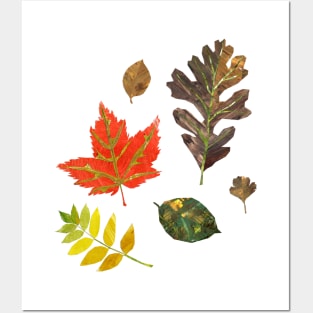 Leaves Posters and Art